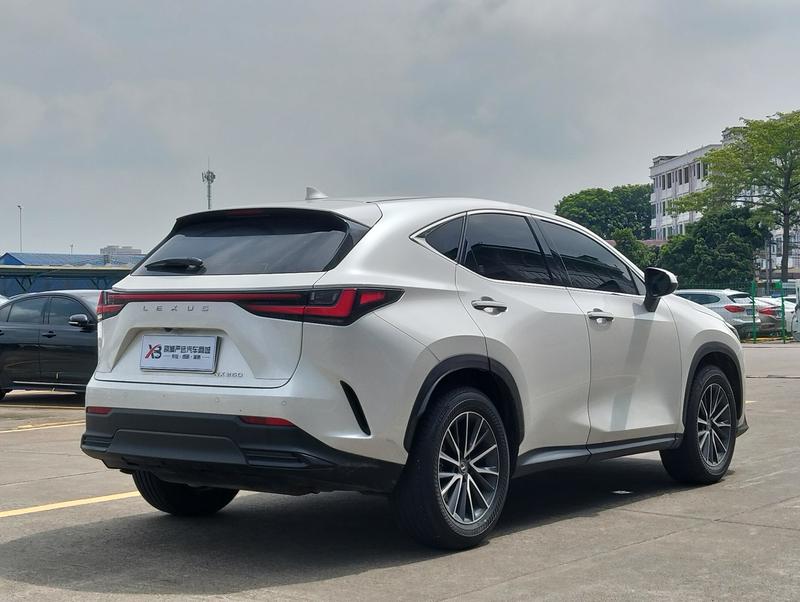 Lexus NX, 2023 — фото 7 из 12