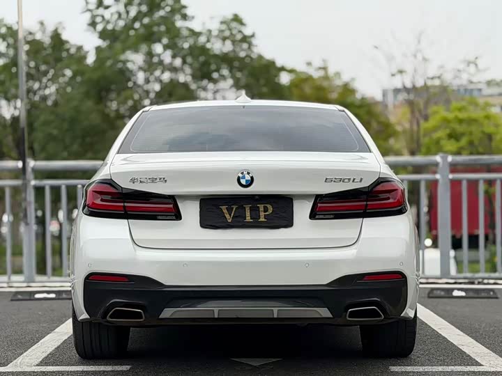 BMW 5 Series, 2021 — фото 8 из 9