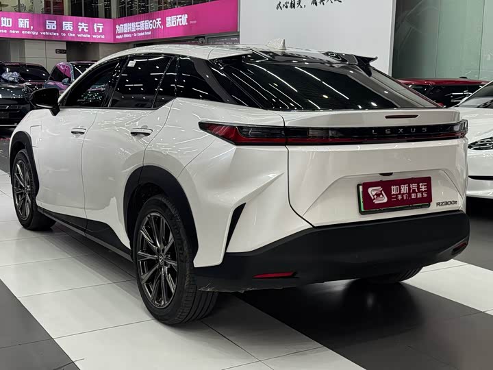Lexus RZ, 2023 — фото 6 из 9