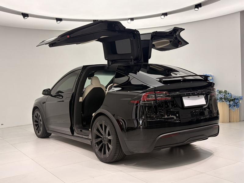 Tesla Model X, 2023 — фото 4 из 11