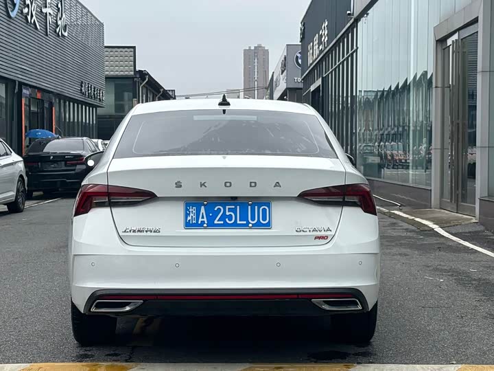 Skoda Octavia Pro, 2024 — фото 9 из 9