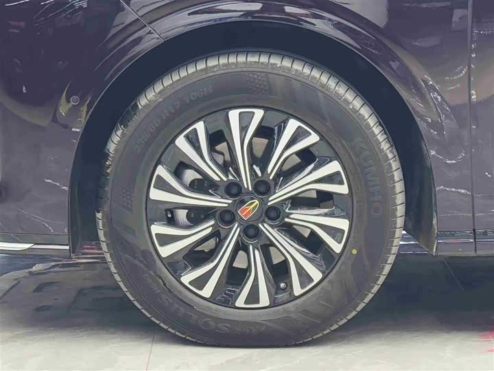 Hongqi HQ9 Hybrid, 2024 — фото 4 из 9
