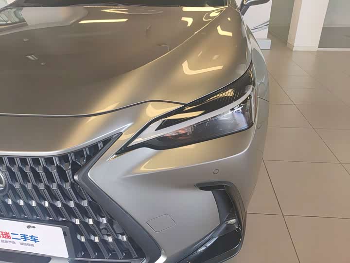 Lexus NX Hybrid, 2022 — фото 6 из 9
