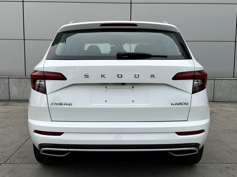 Skoda Karoq, 2024 — фото 5 из 12