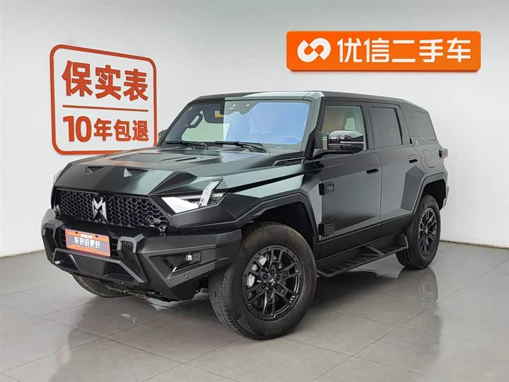 Dongfeng Mengshi M-Hero 917, 2024 — купить в Брянске под ключ
