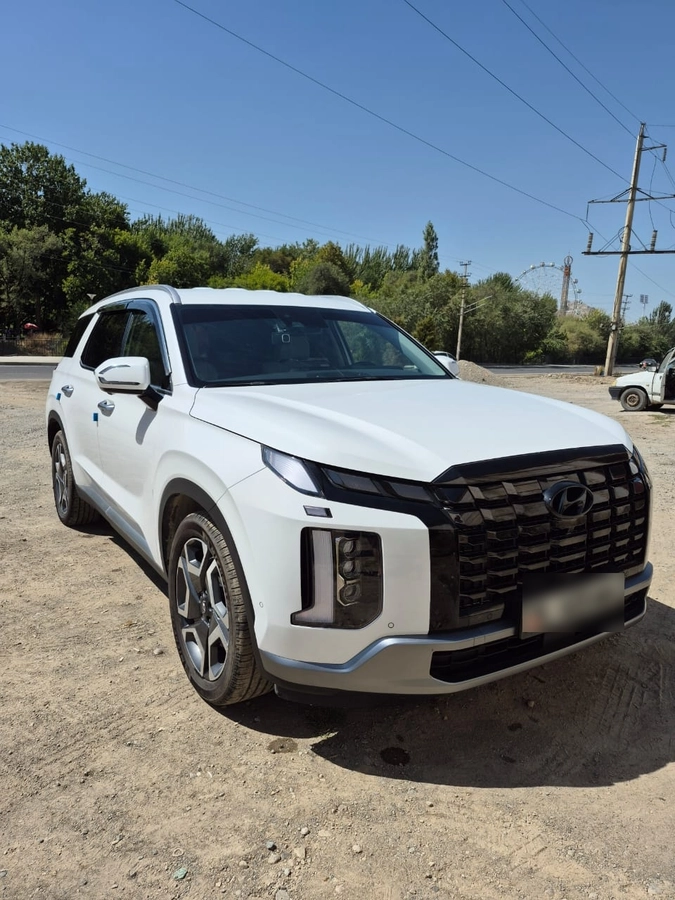 Hyundai Palisade, 2024