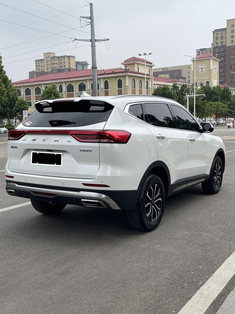 Haval H6, 2023 — фото 6 из 11