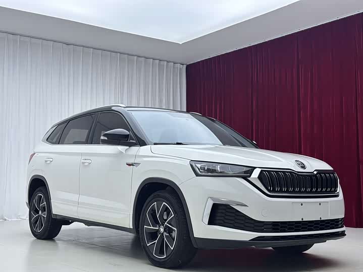 Skoda Kamiq, 2021 — фото 3 из 9