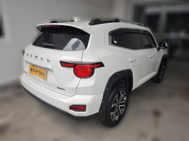 Haval H-Dog, 2023 — фото 2 из 12