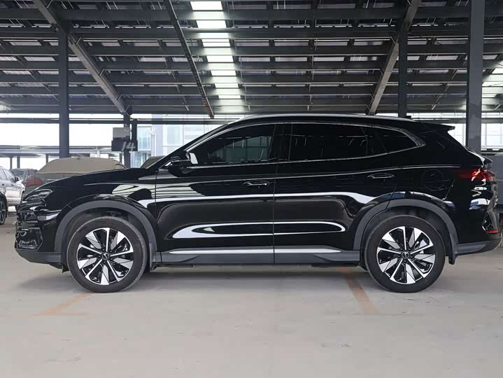 BYD Song Plus Hybrid/EV, 2024 — фото 8 из 9