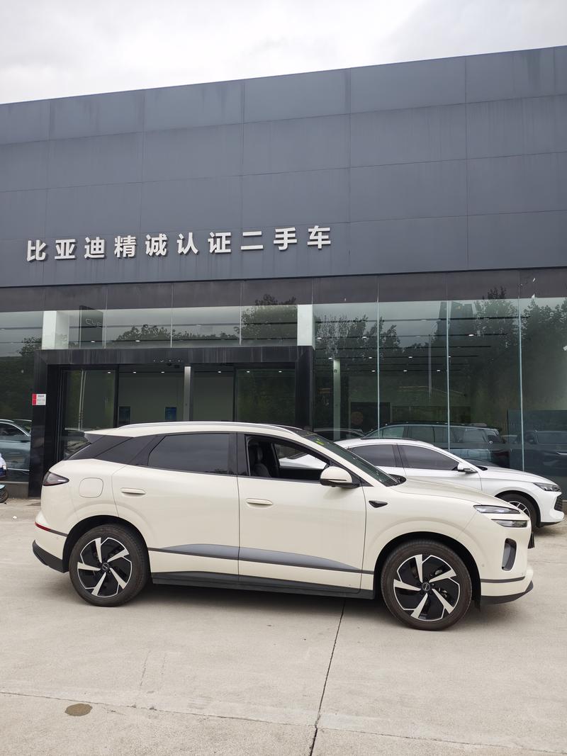 BYD Sea Lion 06 Hybrid/EV, 2025 — фото 5 из 9