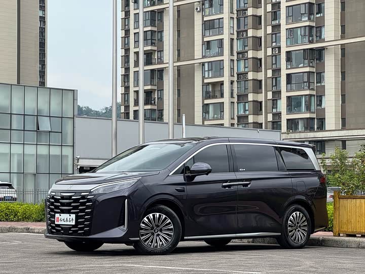 BYD Xia, 2025 — купить в Владимире под ключ