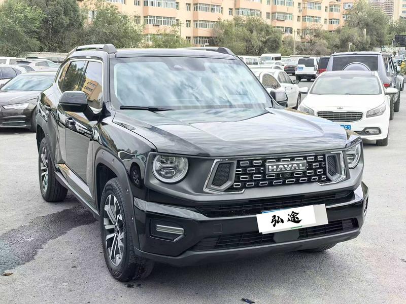 Haval H-Dog, 2023 — фото 3 из 9