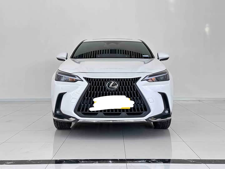 Lexus NX, 2023 — фото 2 из 9