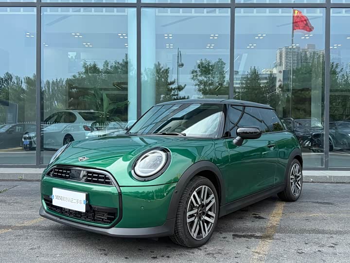 Mini Mini, 2025 — купить в Перми под ключ