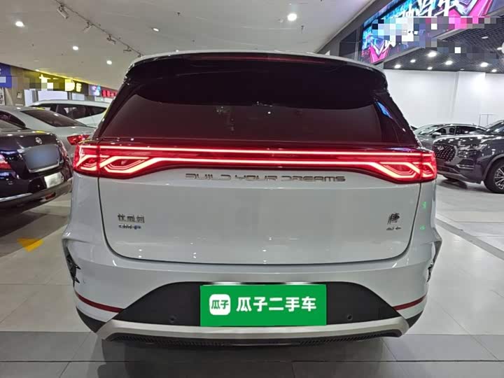BYD Tang Hybrid/EV, 2024 — фото 6 из 9