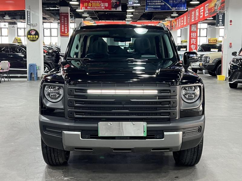 Haval Raptor Hybrid, 2024 — фото 2 из 12