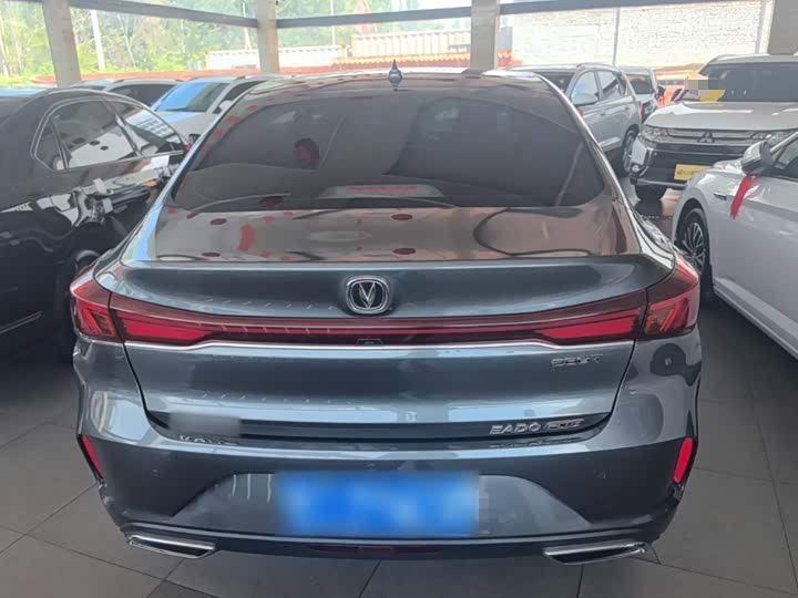 Changan Eado Plus, 2023 — фото 6 из 9