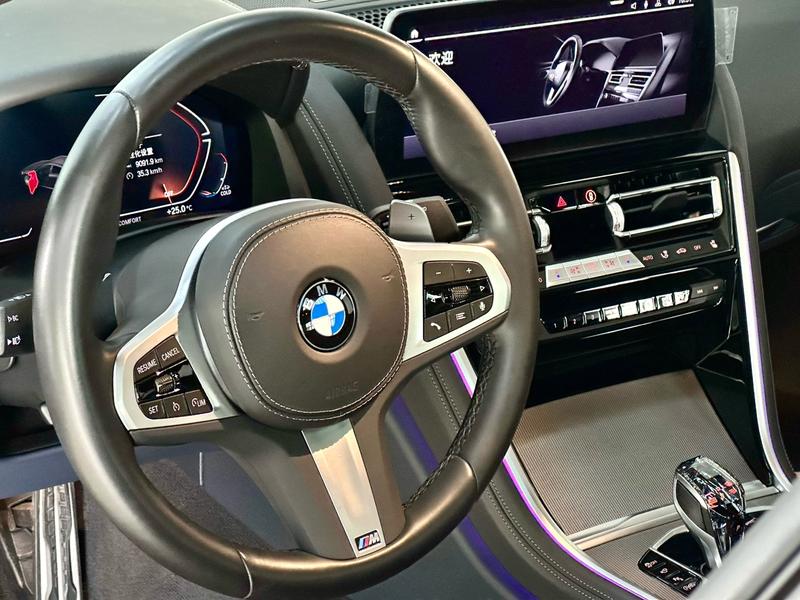 BMW 8 Series, 2023 — фото 10 из 12