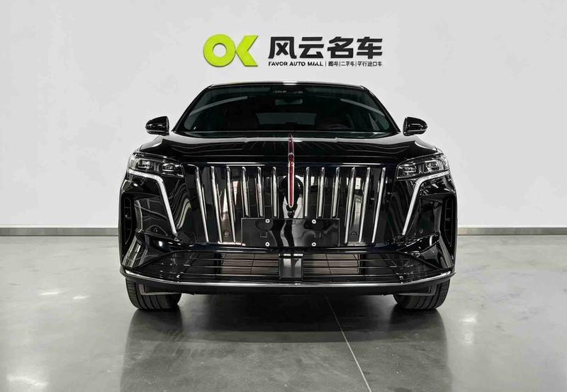 Hongqi HS6 Hybrid, 2026 — фото 2 из 10