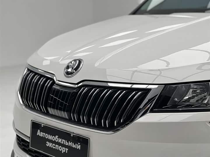 Skoda Karoq, 2021 — фото 5 из 9