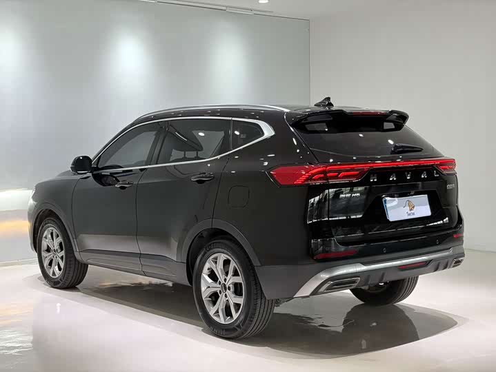 Haval H6, 2022 — фото 6 из 9