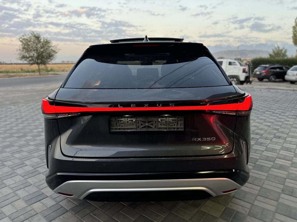 Lexus RX, 2024 — фото 8 из 9