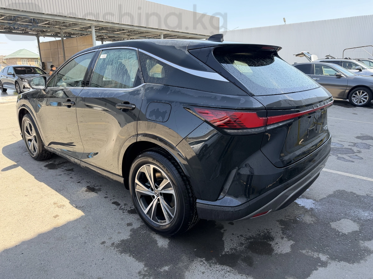 Lexus RX, 2026 — фото 7 из 10