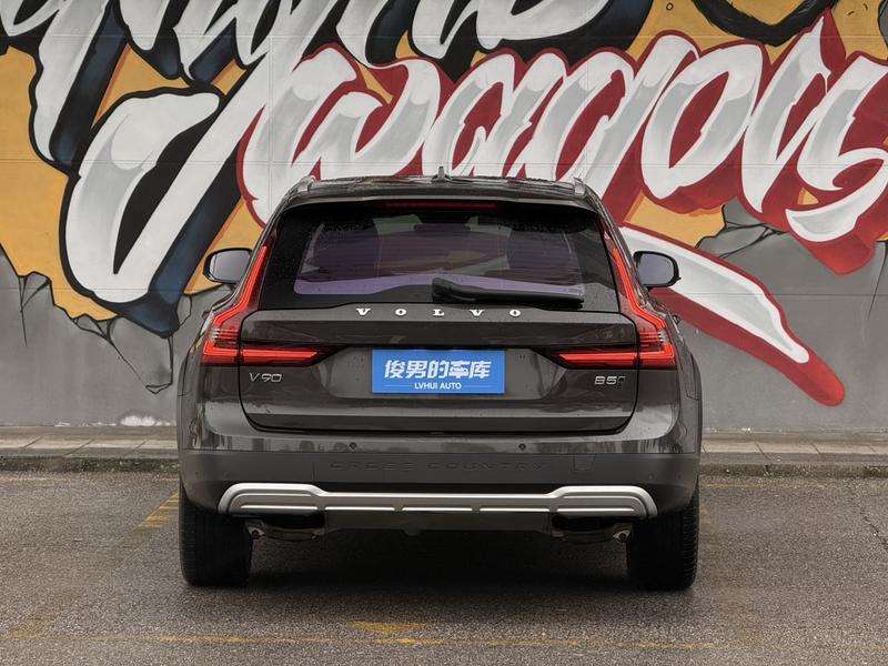 Volvo V90, 2023 — фото 6 из 12