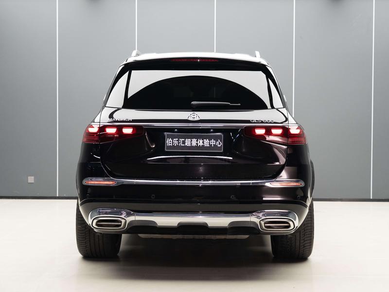 Mercedes-Benz Maybach GLS, 2024 — фото 4 из 11