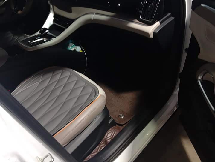 BYD Song Pro Hybrid, 2024 — фото 8 из 9