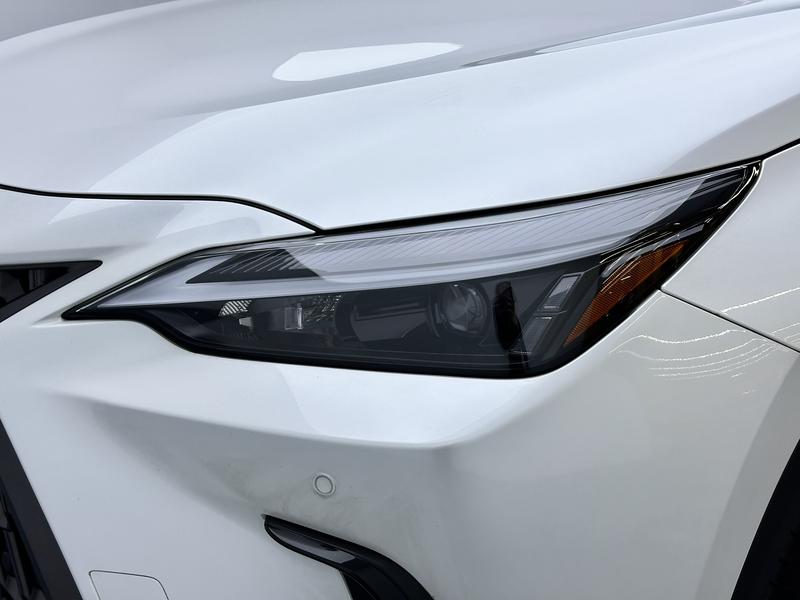 Lexus NX, 2023 — фото 9 из 12