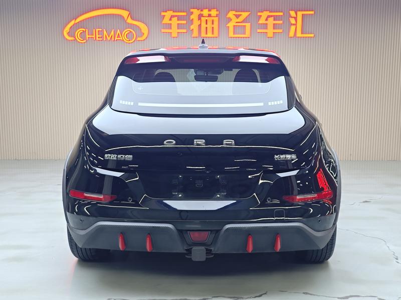Ora Good Cat GT (03 GT), 2021 — фото 6 из 12