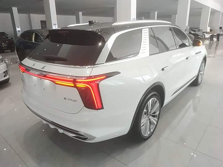 Hongqi E-HS9, 2023 — фото 7 из 9