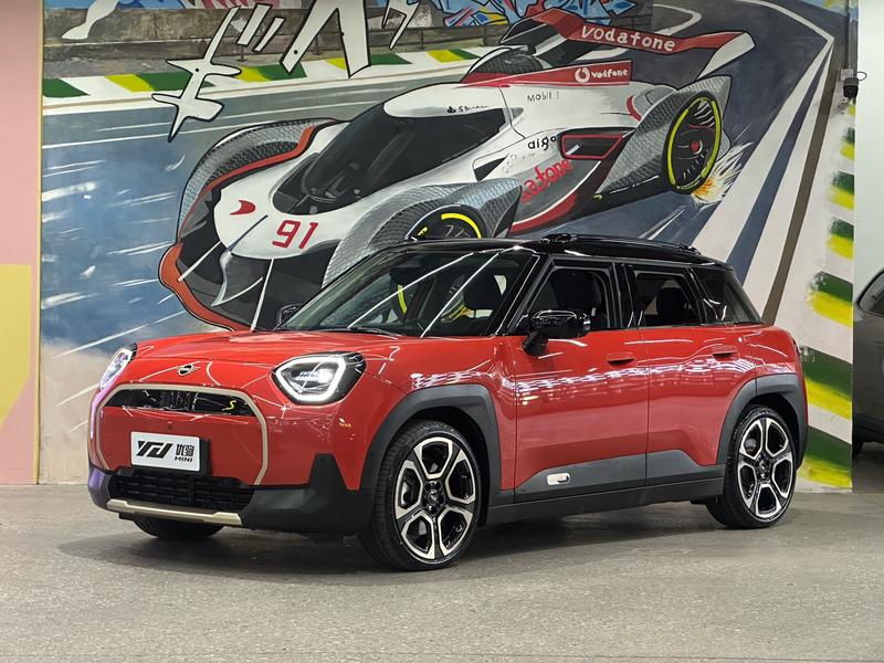 Mini Aceman, 2024 — купить в Брянске под ключ