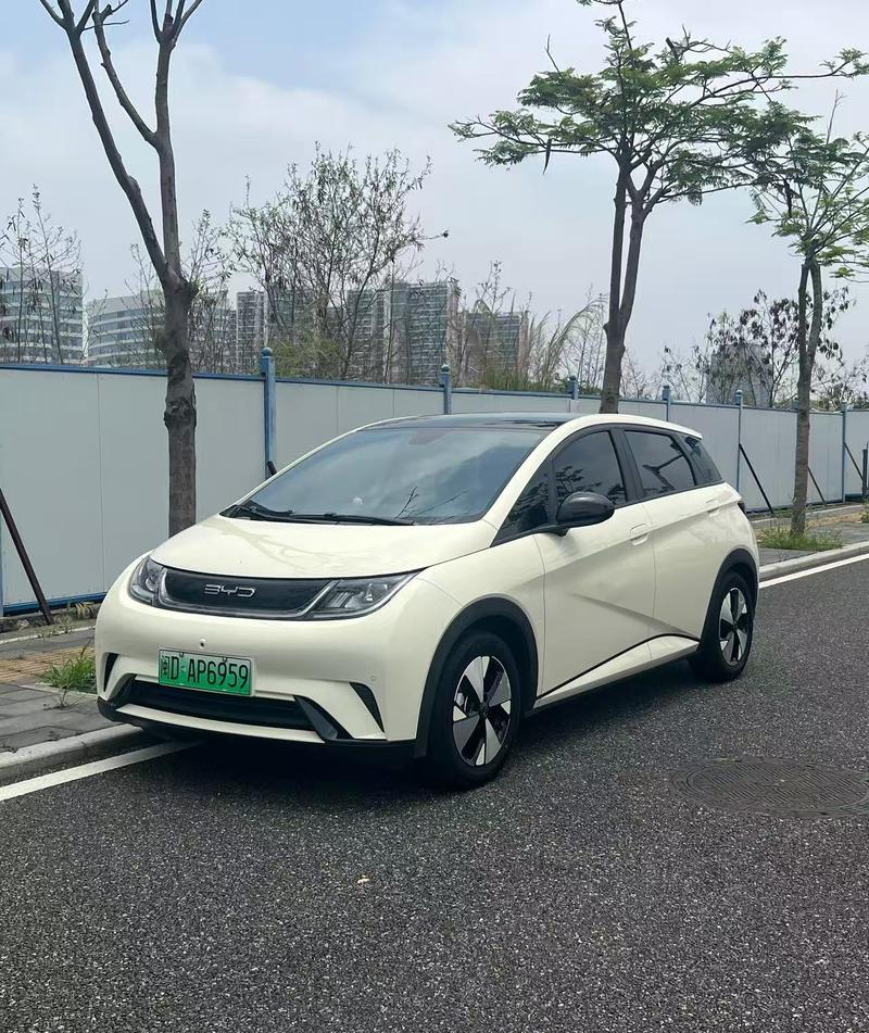 BYD Dolphin, 2023 — купить в Чебоксарах под ключ