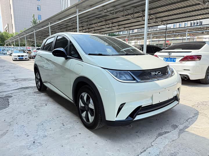 BYD Dolphin, 2025 — фото 2 из 7