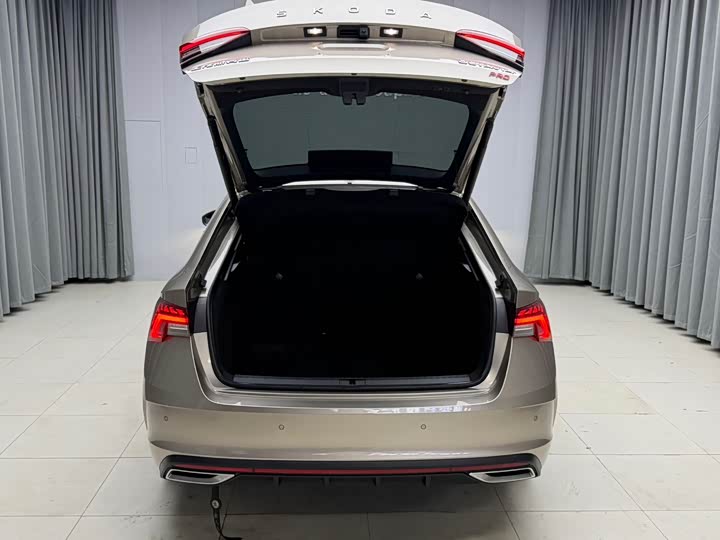 Skoda Octavia Pro, 2022 — фото 7 из 9