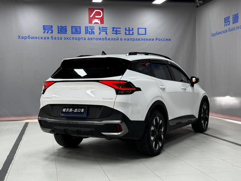 Kia Sportage, 2023 — фото 6 из 12