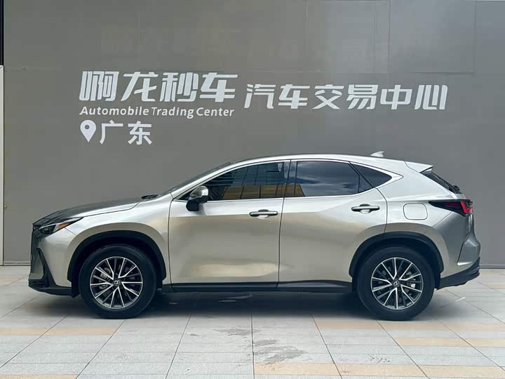 Lexus NX, 2024 — фото 3 из 9