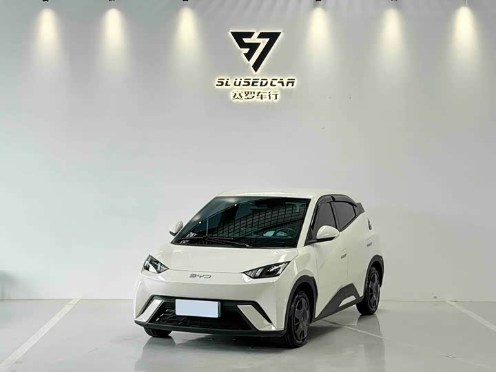 BYD Seagull, 2025 — купить в Тамбове под ключ