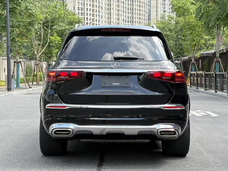 Mercedes-Benz Maybach GLS, 2024 — фото 5 из 12