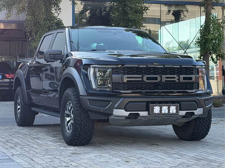 Ford F-150 Raptor, 2023 — фото 3 из 9