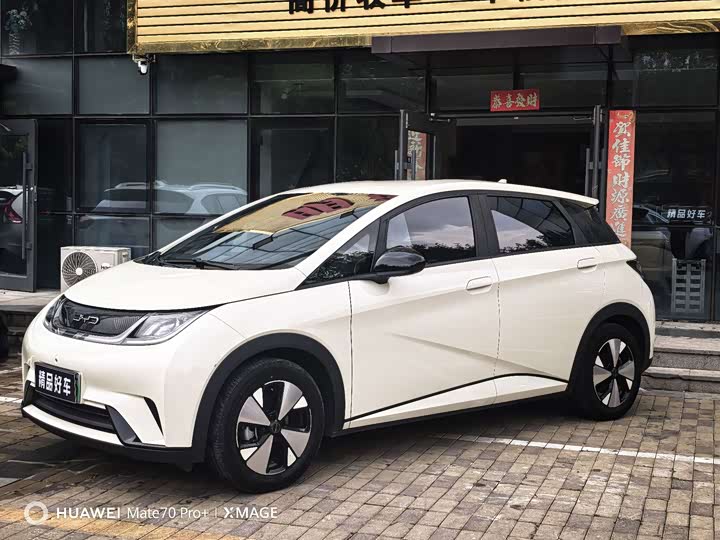 BYD Dolphin, 2023 — фото 4 из 9