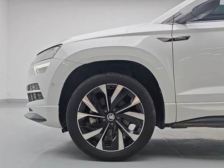 Skoda Karoq, 2023 — фото 7 из 9