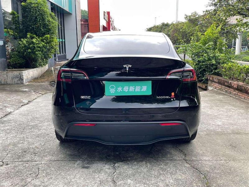 Tesla Model Y, 2021 — фото 6 из 11