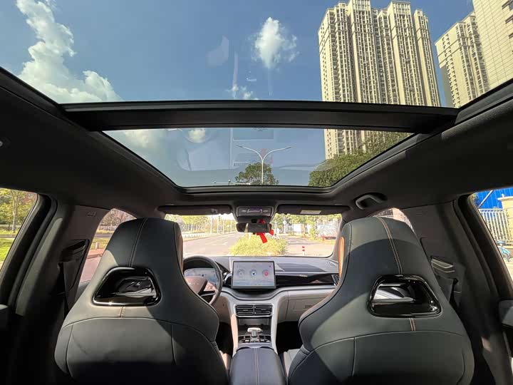 BYD Song Plus Hybrid/EV, 2023 — фото 8 из 9