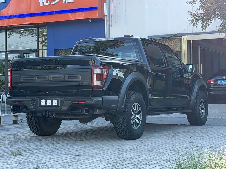 Ford F-150 Raptor, 2023 — фото 4 из 9
