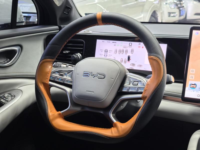 BYD Sea Lion 06 Hybrid/EV, 2025 — фото 9 из 12