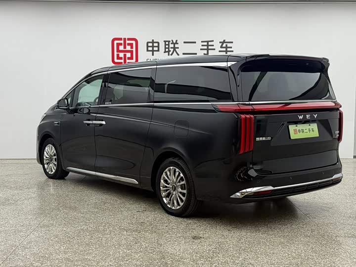 Wey 80 Hybrid, 2025 — фото 3 из 9